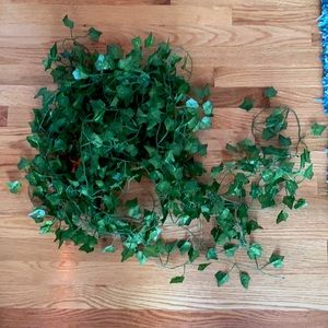 10 green ivy vines//Amazon